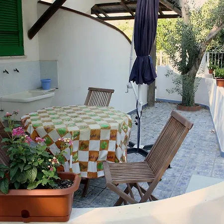 Rosa Ischia